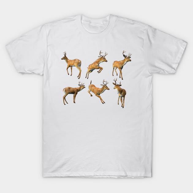 Woodland Deer T-Shirt by dcohea